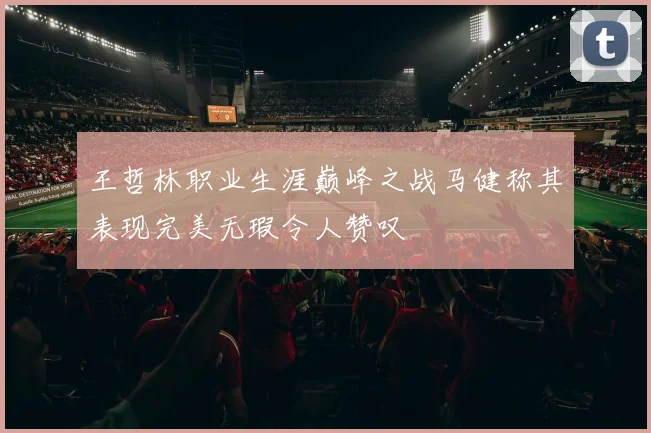 王哲林职业生涯巅峰之战马健称其表现完美无瑕令人赞叹