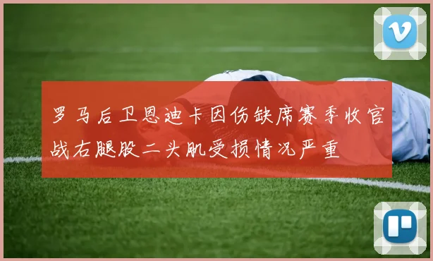 罗马后卫恩迪卡因伤缺席赛季收官战右腿股二头肌受损情况严重
